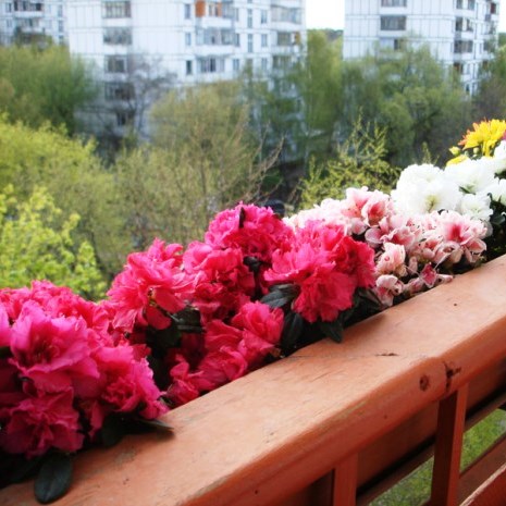 Цветы на балконе – мини-оранжерея на лоджии