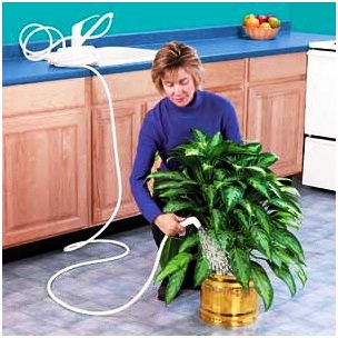 Как правильно мыть комнатные растения?