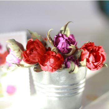 Комнатные розы Mini-rozy-doma