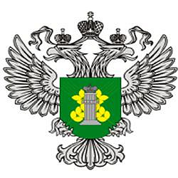 В Воронеже нарушили закон «О безопасности зерна»