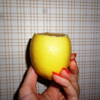 Лимон: выращиваем самостоятельно из косточки