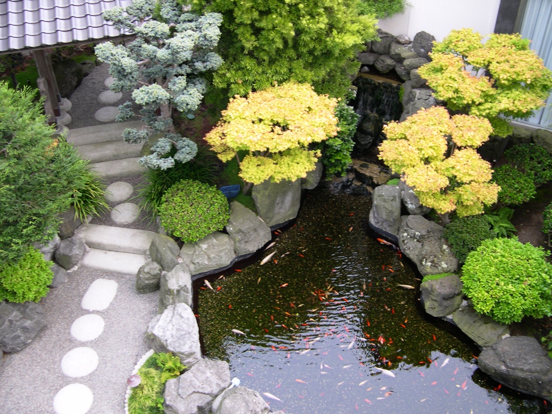 Искусство японского сада