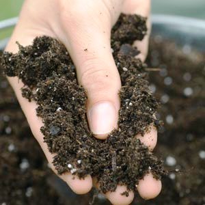 Чем и когда удобрять почву