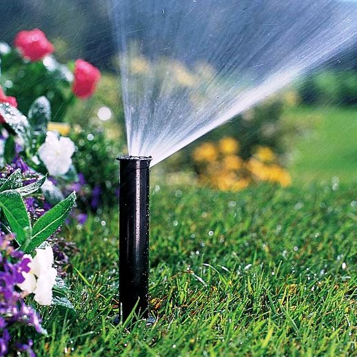 Как правильно поливать огород  жарой? 