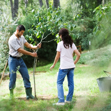 Садово-огородные работы на март - план работ для первого месяца весны