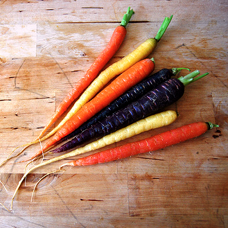 Как посадить подзимнюю морковь