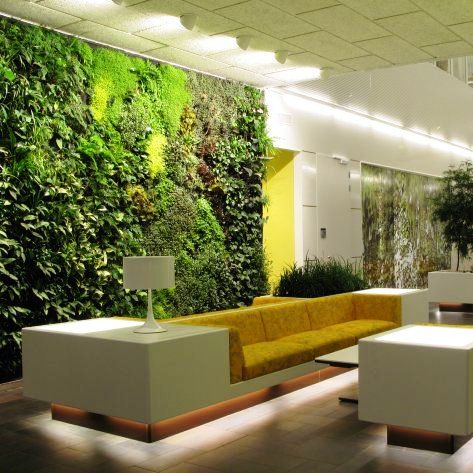 Озеленяем офис – украшаем и создаем здоровый микроклимат
