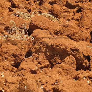 Как окультурить глинистую почву