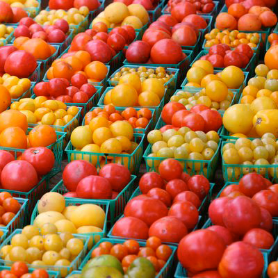 Лучшие семена томатов: выбрать и купить