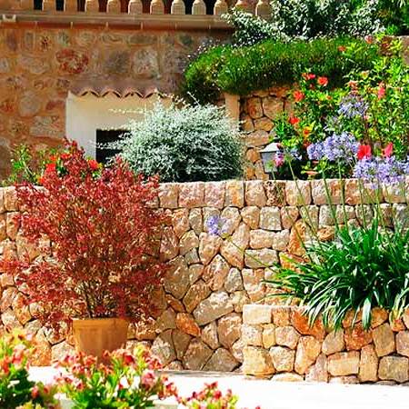 Средиземноморский стиль сада – что для этого нужно?