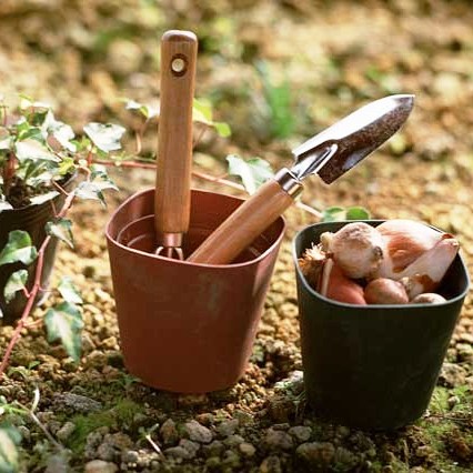 Весенний «банкет» для садовых культур – уборка и питание