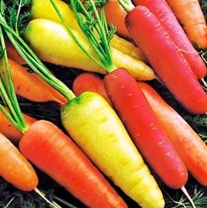 Морковь овощи
