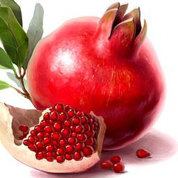 Гранат фрукты и ягоды