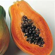 Горная папайя фрукты и ягоды