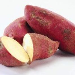 Батат, Сладкий картофель огородные растения