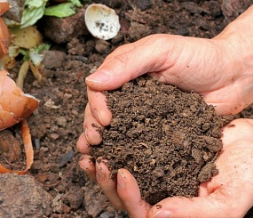  Быстрый компост из отходов – удобрение своими руками