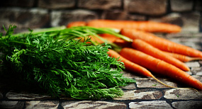 5 причин горечи моркови и как её предотвратить