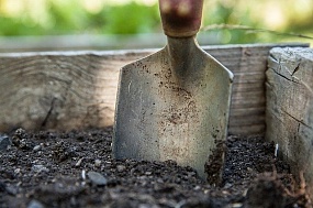 2 простых метода, чтобы почва стала мягкой и плодородной
